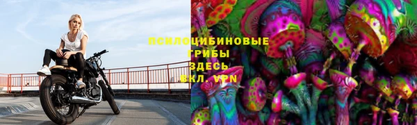 тгк Армянск