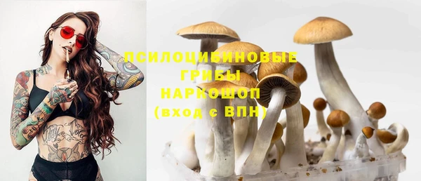 a pvp Арсеньев