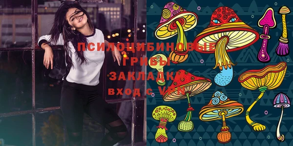 эйфоретик Михайловка