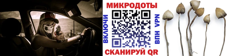 ОМГ ОМГ   Медвежьегорск  Галлюциногенные грибы Psilocybe 